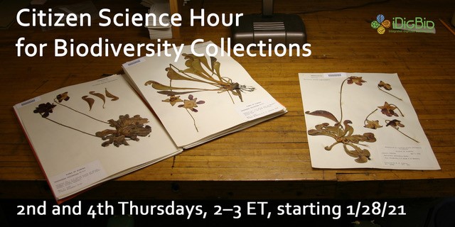 [HERBARIA] New Citizen Science Hour for Biodiversity Collections webinar series