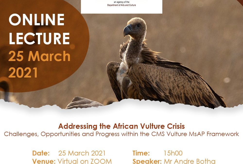 Public Lecture | Addressing the African Vulture Crisis