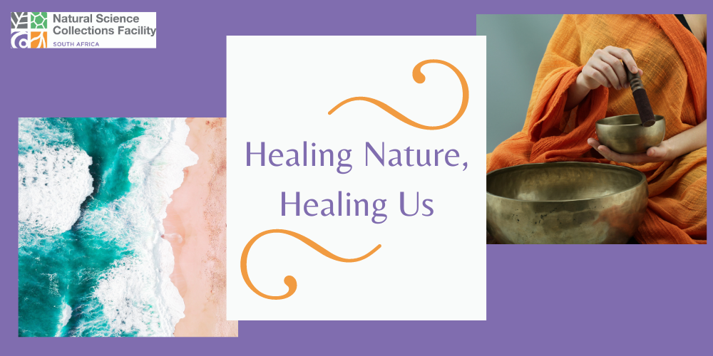 Forum Poetry Reflections: Healing Nature, Healing Us