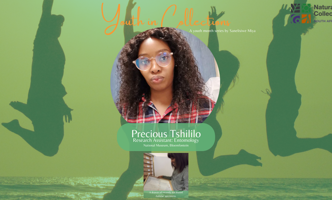 Youth in Collections | Precious Tshililo