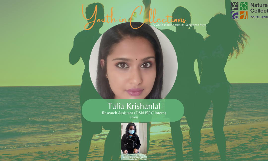 Youth in Collections | Talia Krishanlal