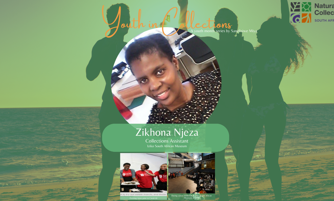 Youth in Collections | Zikhona Njeza