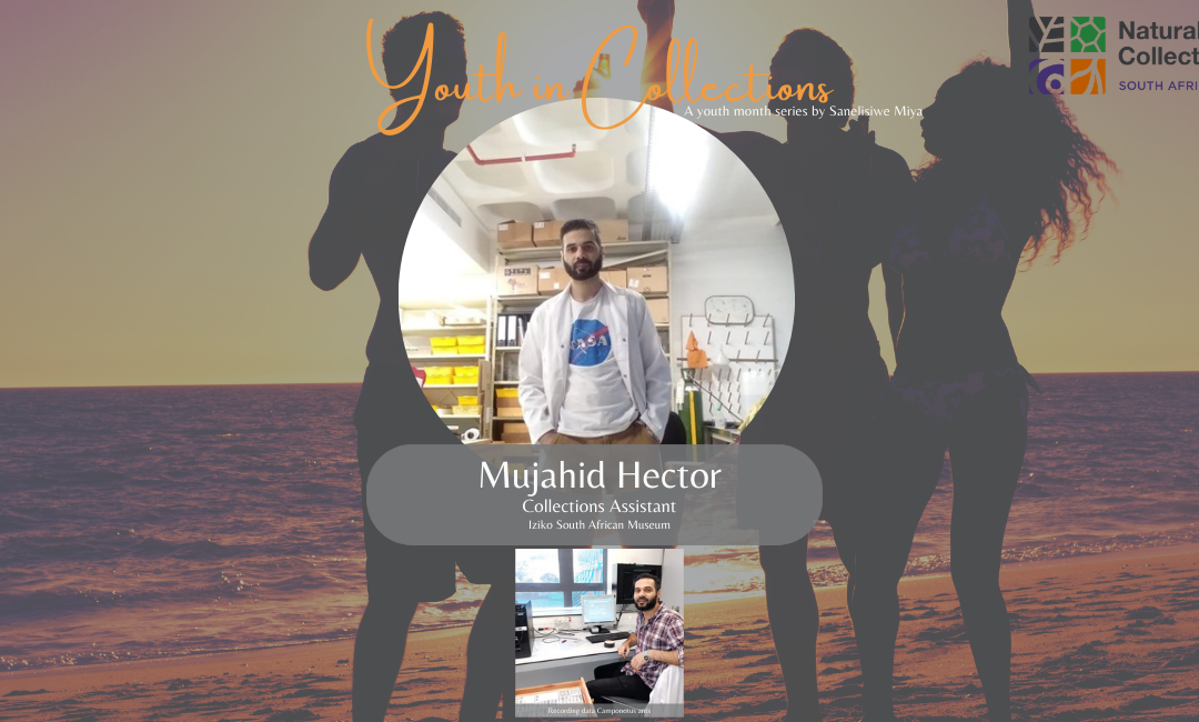 Youth in Collections | Mujahid Hector