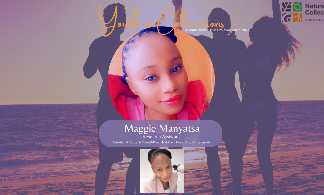 Youth in Collections | Maggie Manyatsa