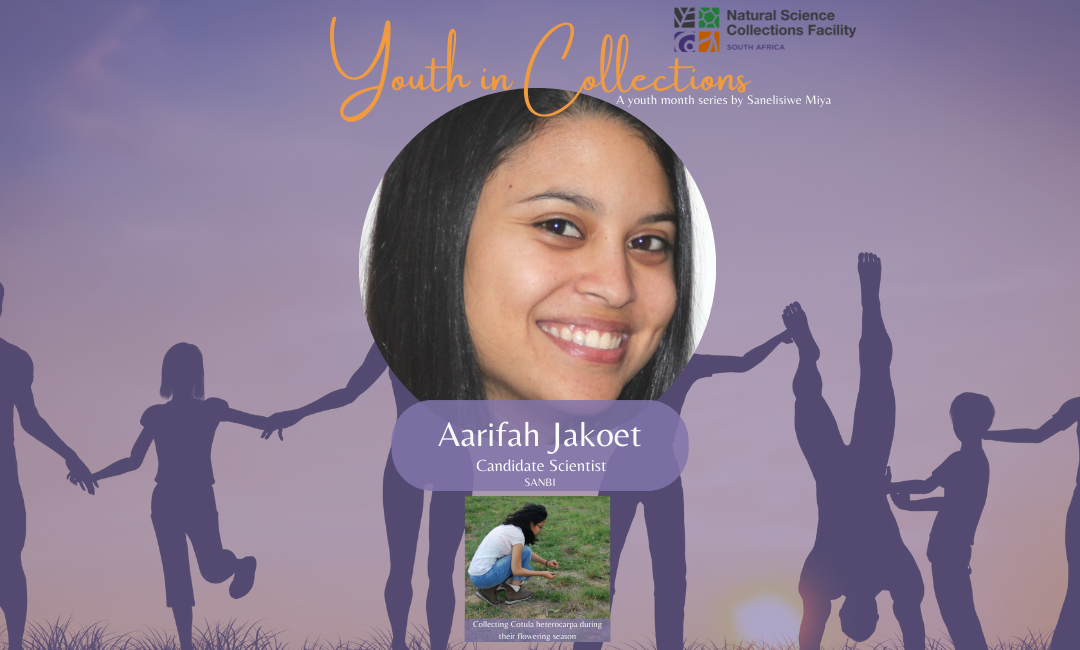 Youth in Collections | Aarifah Jakoet