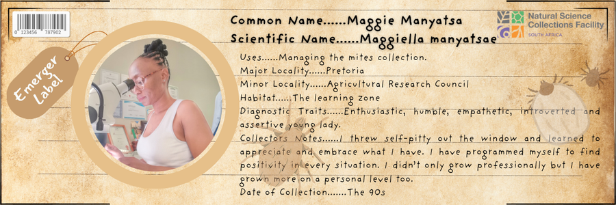 Maggiella manyatsae: The Empathetic Mite Maven