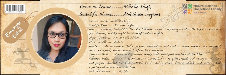 Nikishaea singhia: The Curious Connector